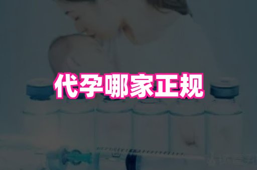 香港助孕网 1