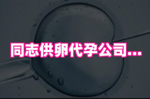 香港助孕网 2