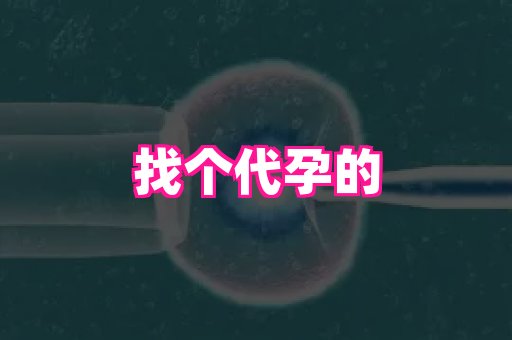 香港助孕网 3